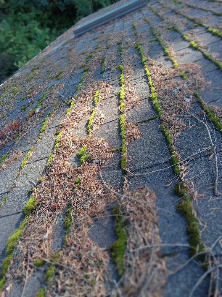 Professional metal roofing installation for fast service across Ariel, WA - Skytech Roofing