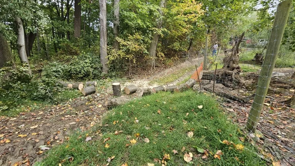 Expert roof inspection in Tunnelton, WV - Skyward Tree Service & Maintenance