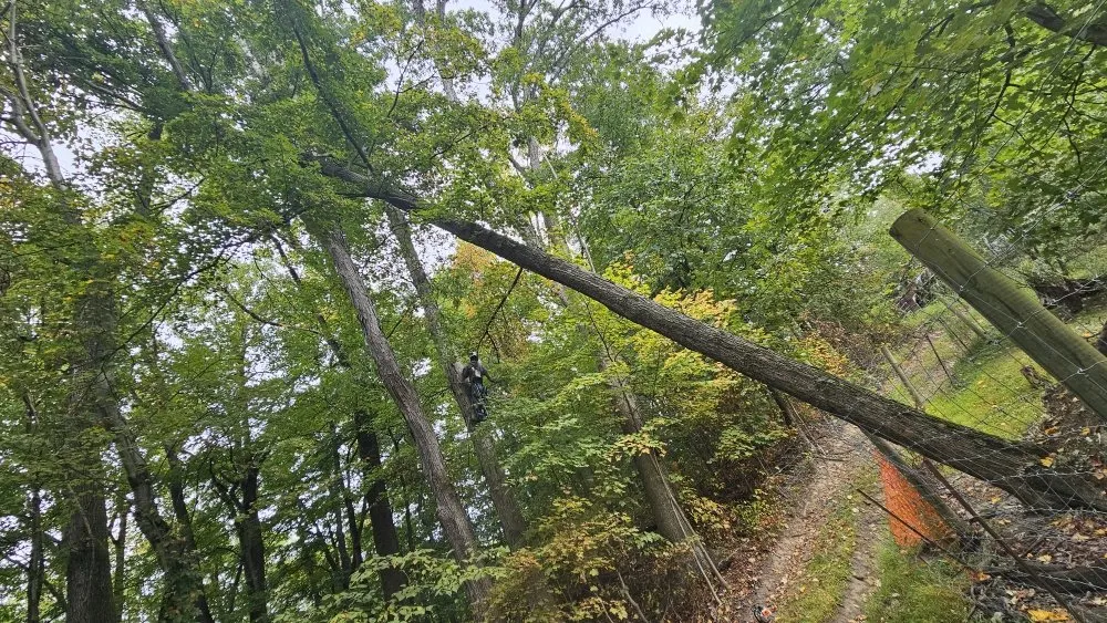 Reliable roof repair for fast service across Tunnelton, WV - Skyward Tree Service & Maintenance