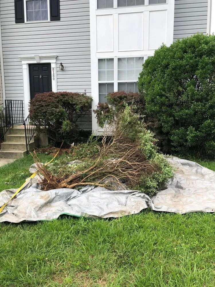 Slide of S&L Landscaping Maintenance