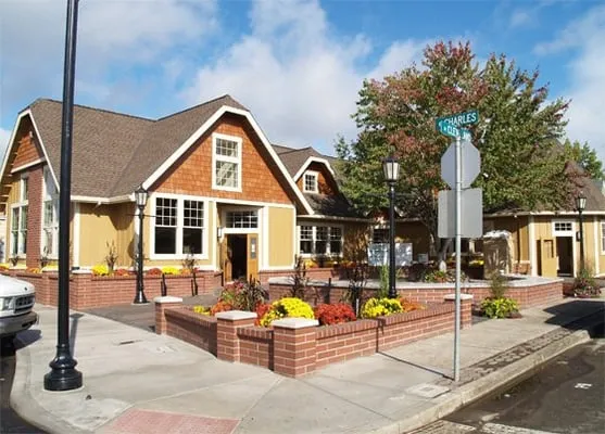 Slate & Slate Roofing