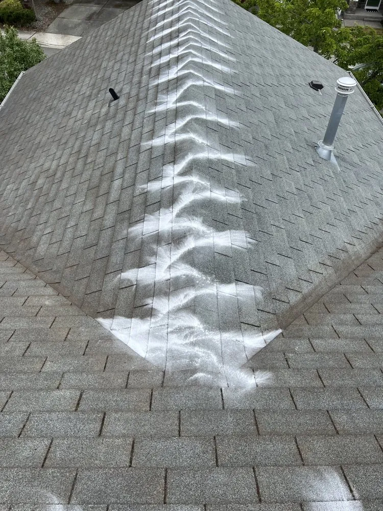 Slide of Slava’s Roof Renew