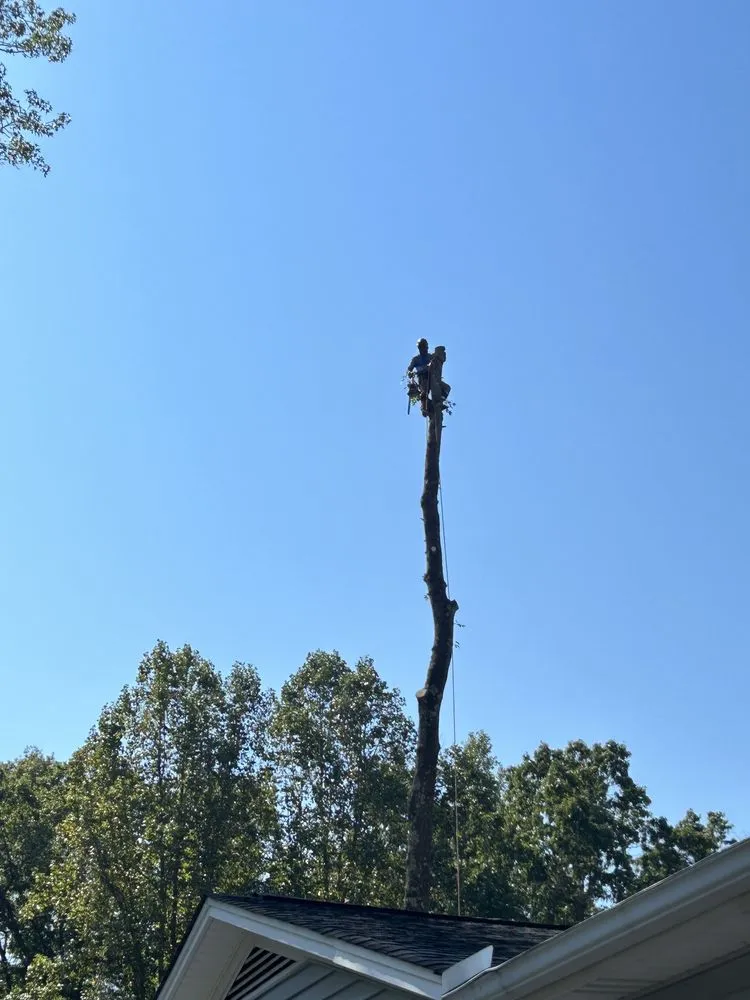 Slide of SledgeBuilt Innovations