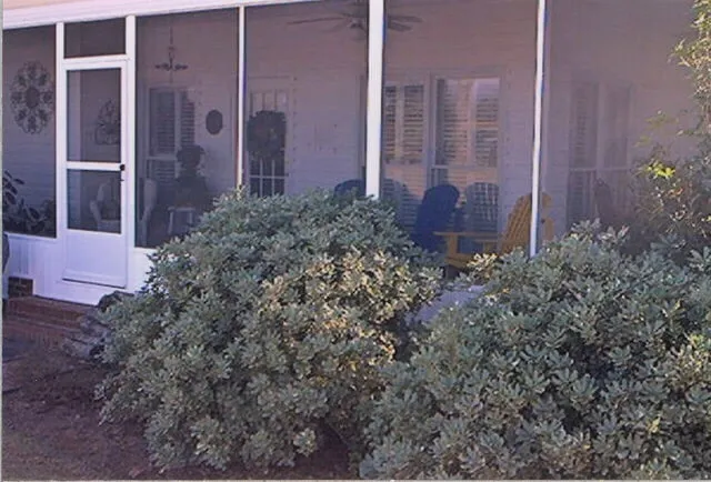 Slide of Slim Carpentry