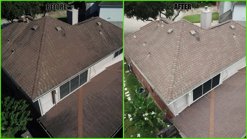 Slide of Slime Busters