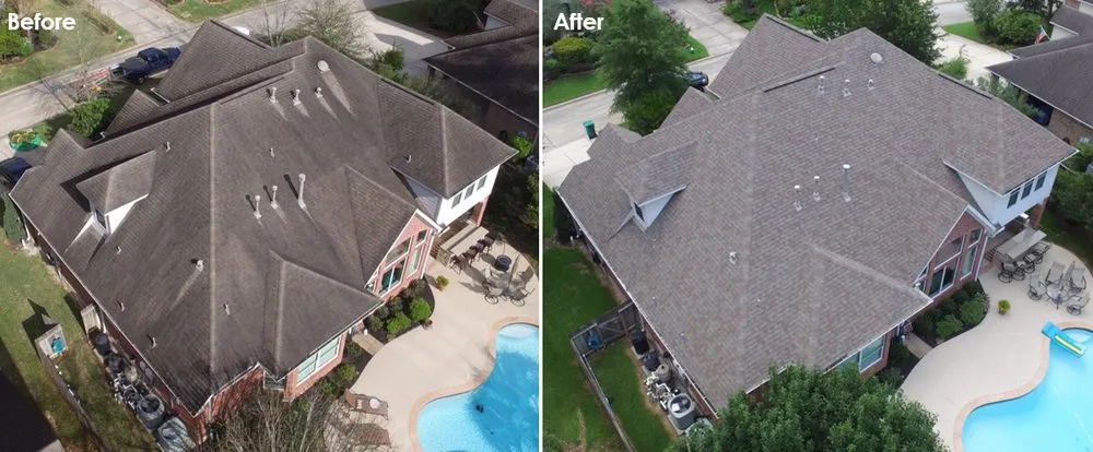 Slide of Slime Busters