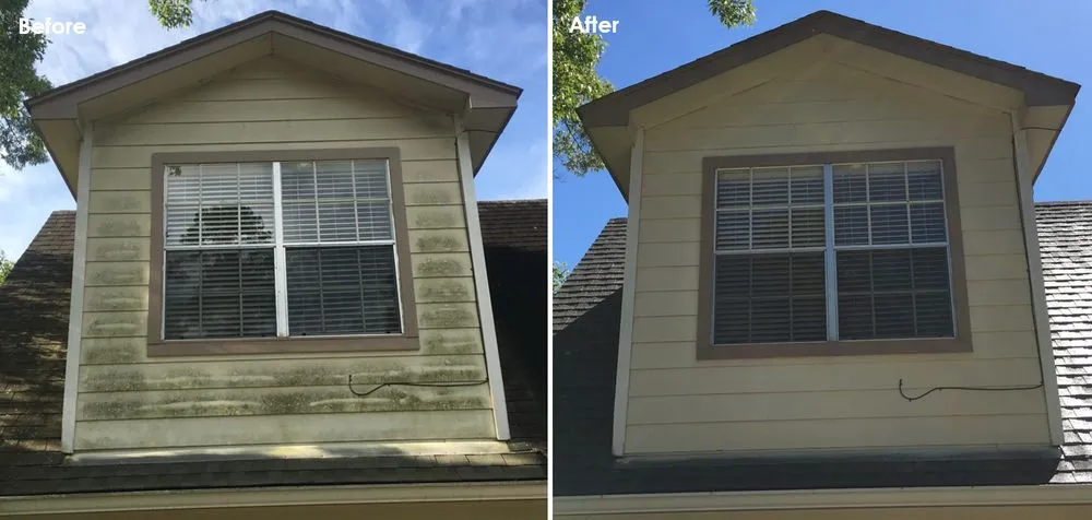 Slide of Slime Busters