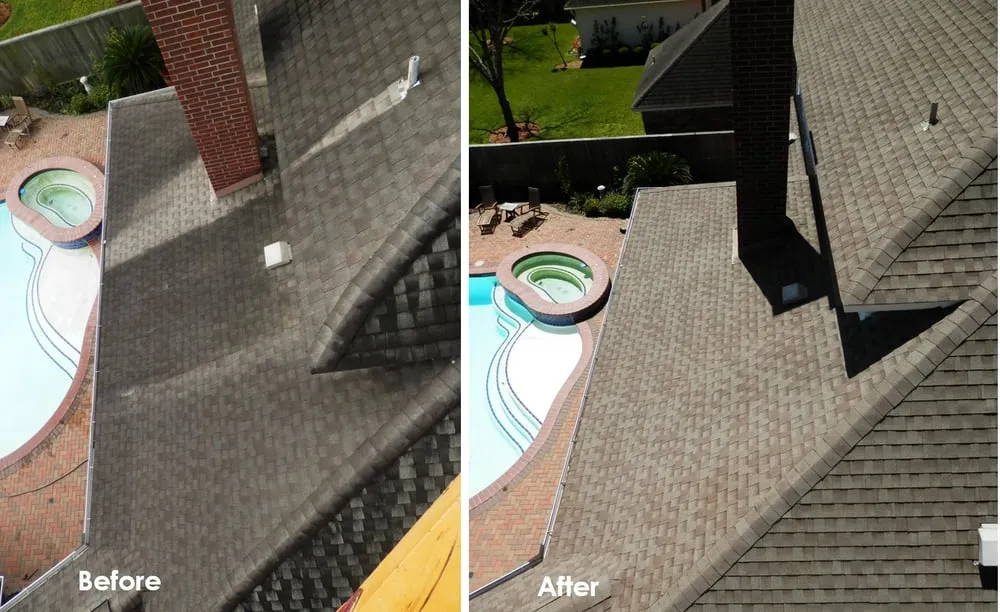 Slide of Slime Busters