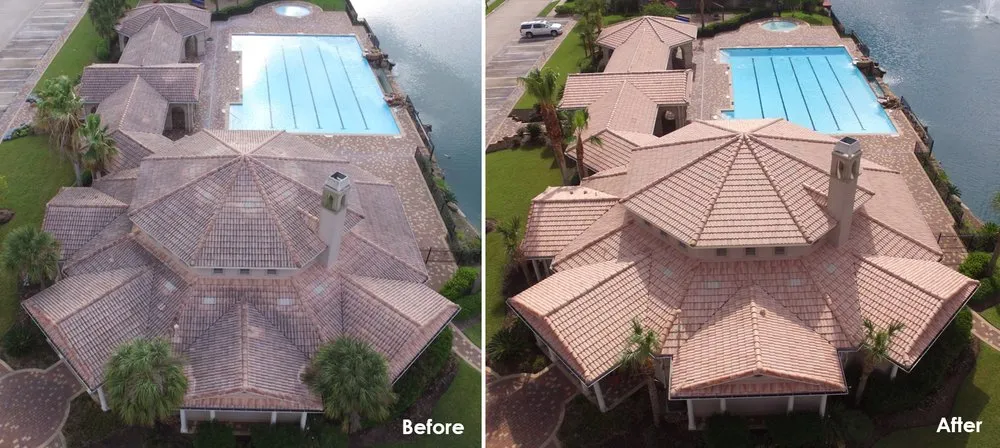 Slide of Slime Busters