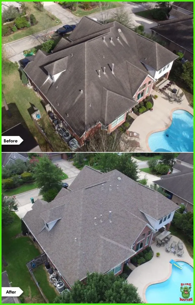 Slide of Slime Busters