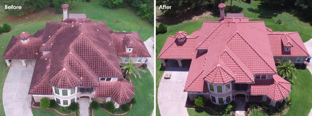 Slide of Slime Busters