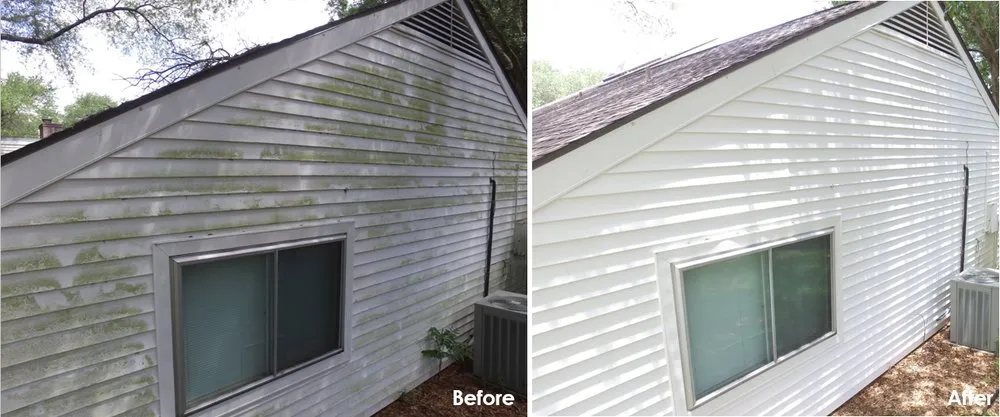 Slide of Slime Busters