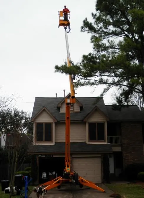 Slide of Slime Busters