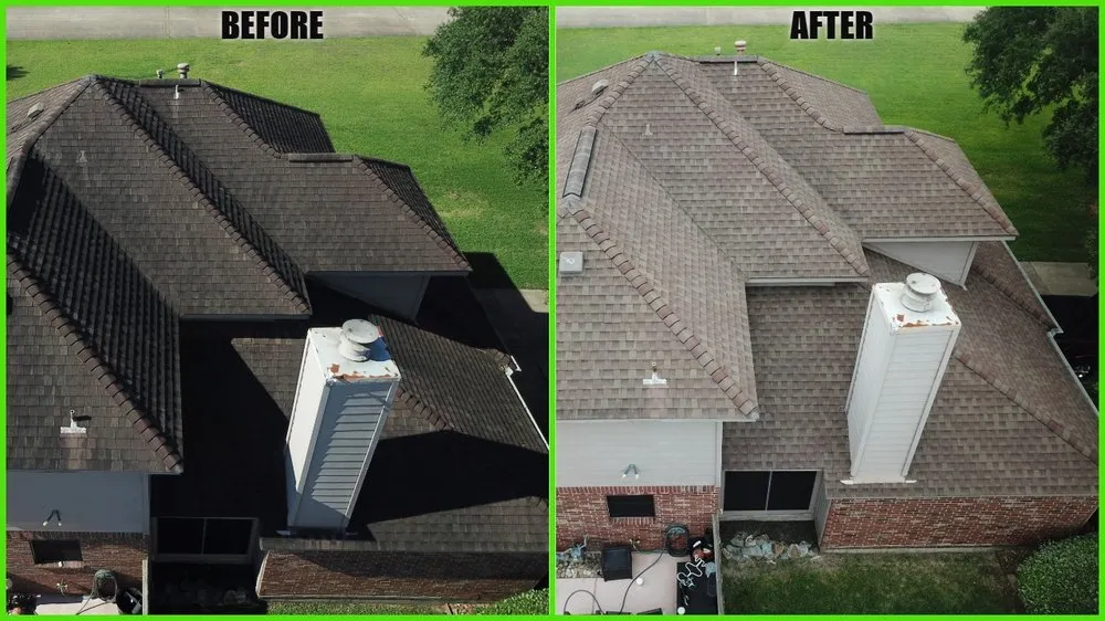 Slide of Slime Busters