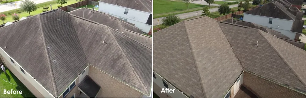 Slide of Slime Busters