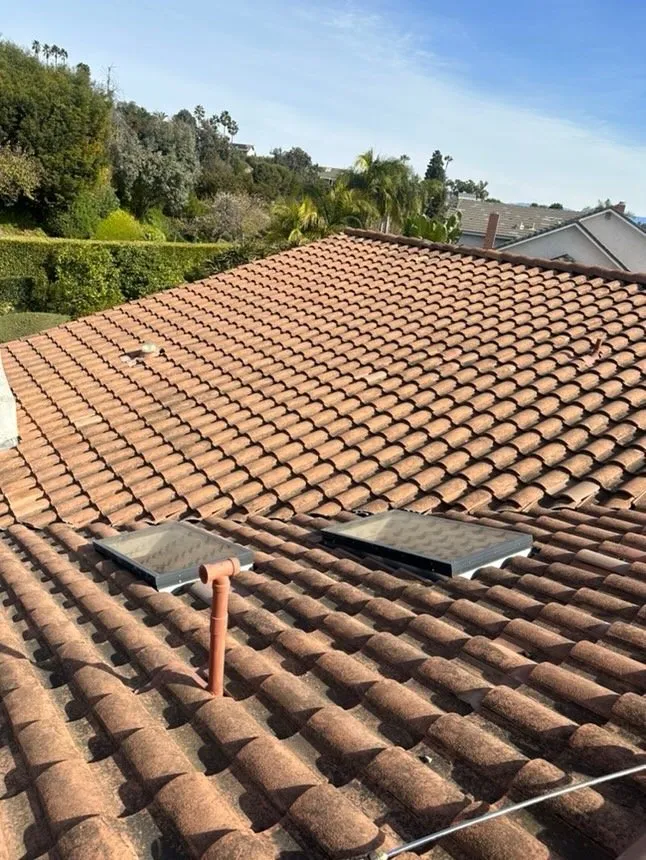 Slide of Slippi Washii