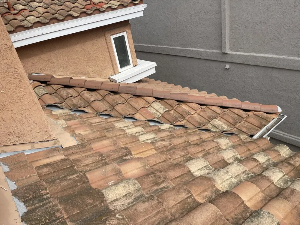 Slide of Slippi Washii