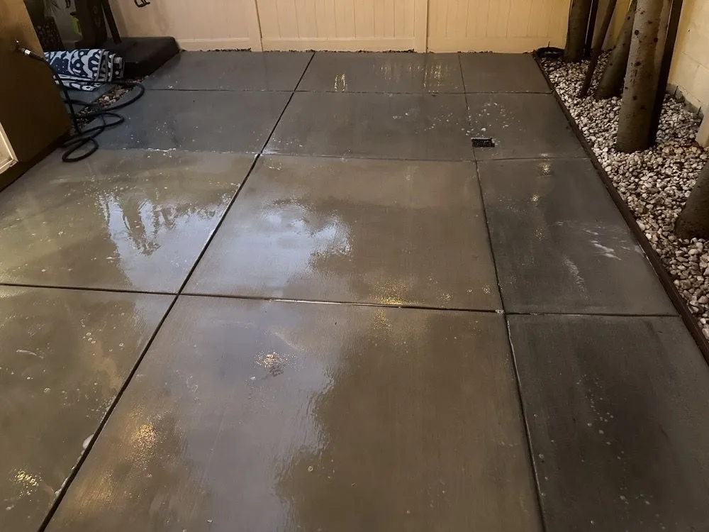 Slide of Slippi Washii