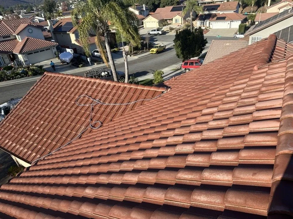 Slide of Slippi Washii