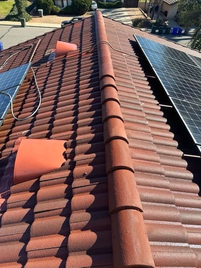 Slide of Slippi Washii