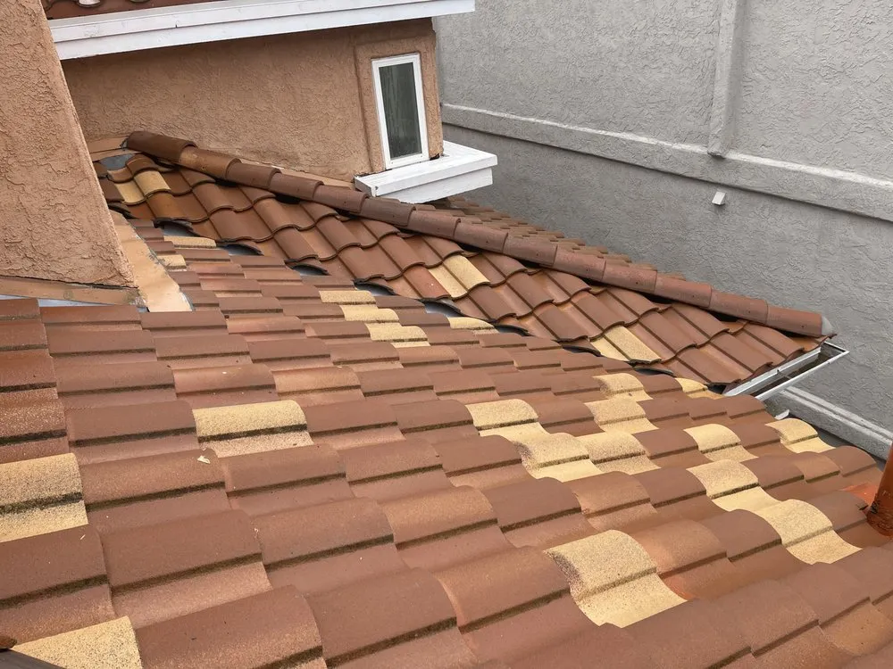 Slide of Slippi Washii