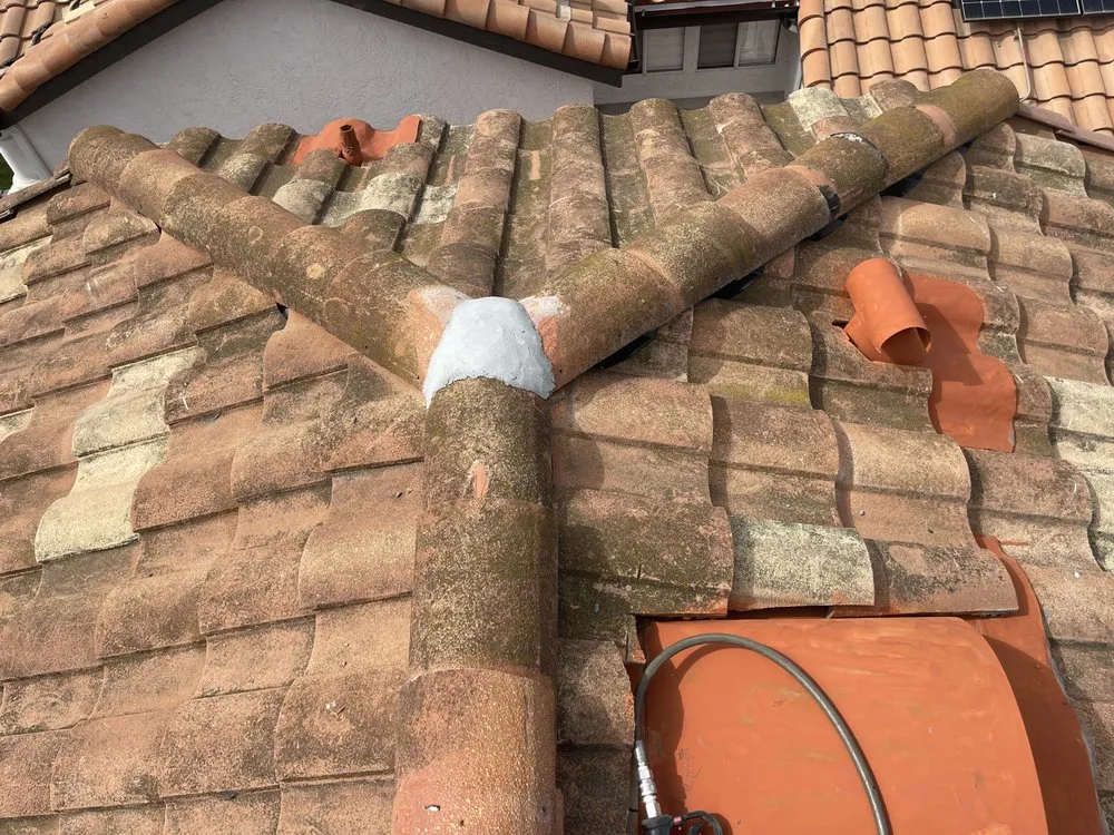 Slide of Slippi Washii