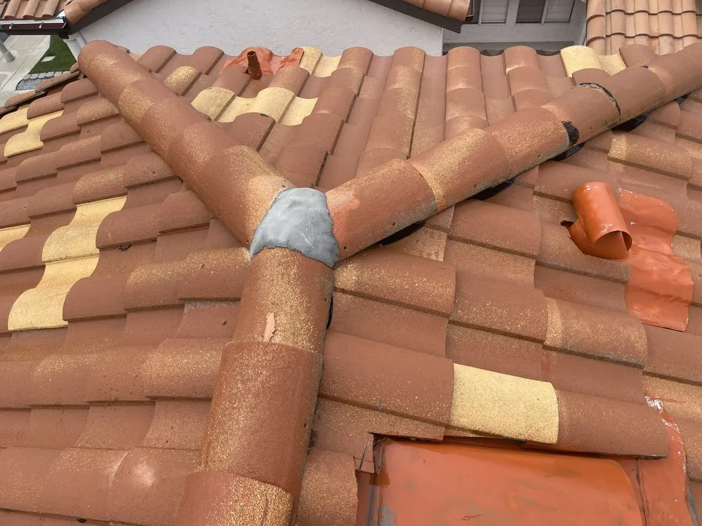 Slide of Slippi Washii