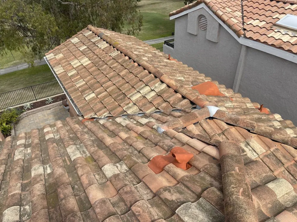 Slide of Slippi Washii