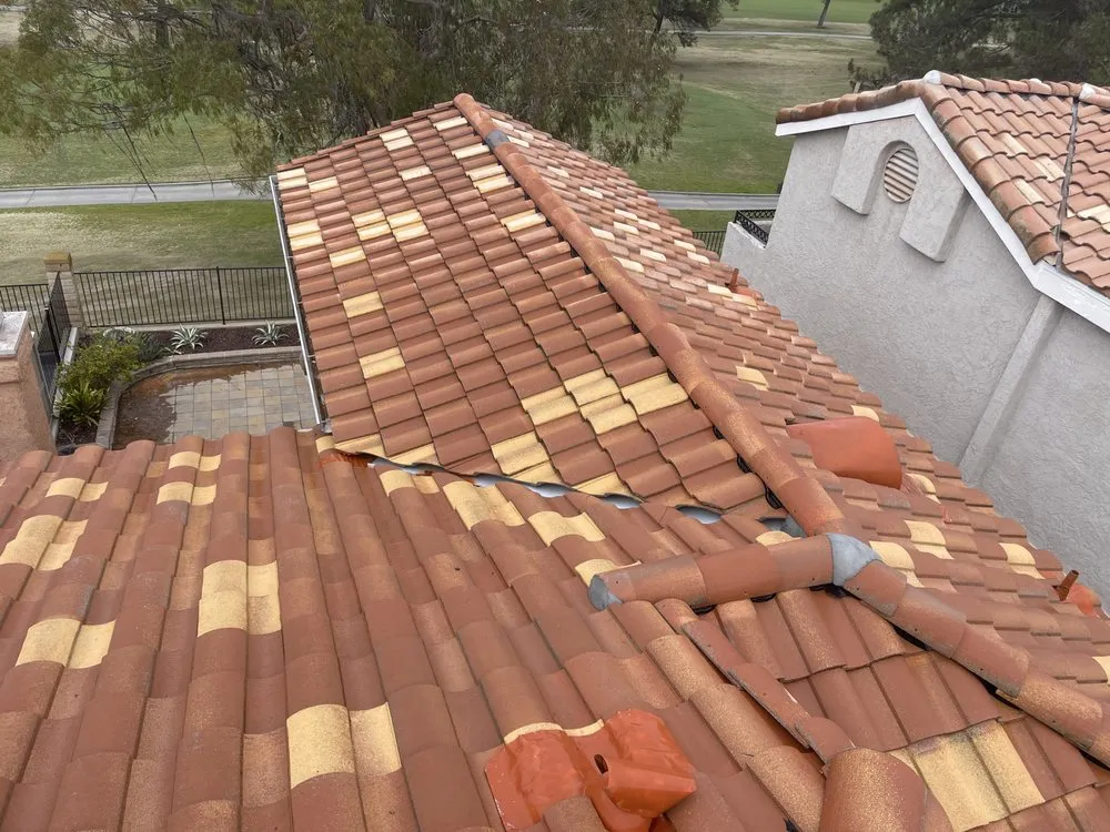 Slide of Slippi Washii