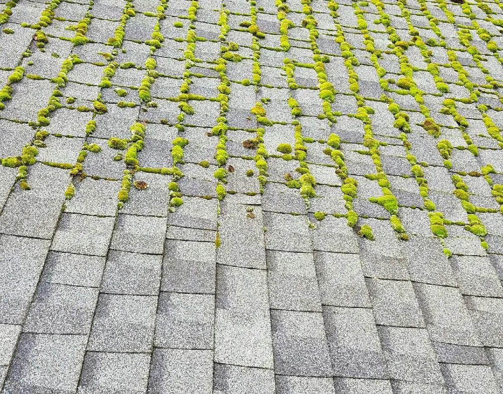 Slide of Sloan's Home Solutions