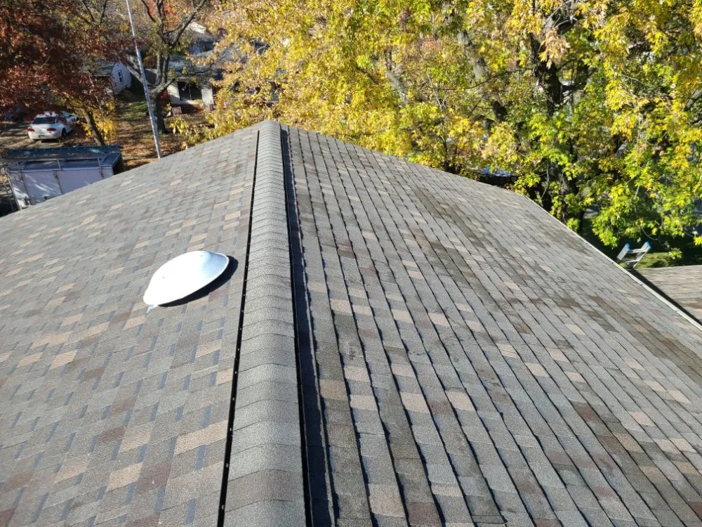 Slide of SLS Roofing and More