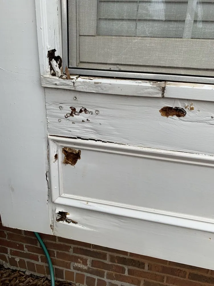 Slide of Small Repair Solutions