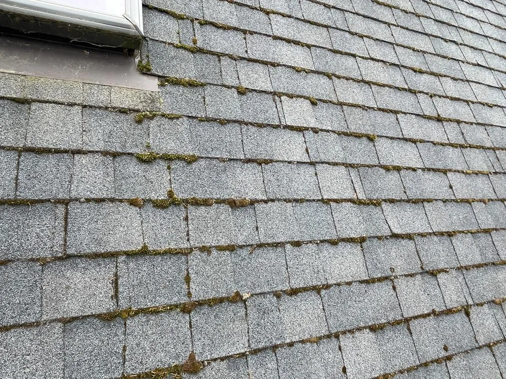 Slide of Small Town Services