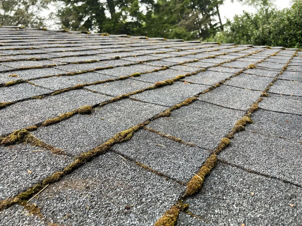 Slide of Small Town Services