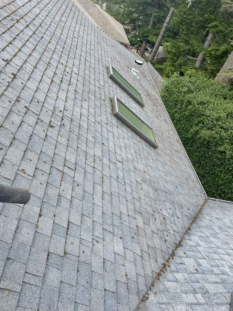 Slide of Small Town Services