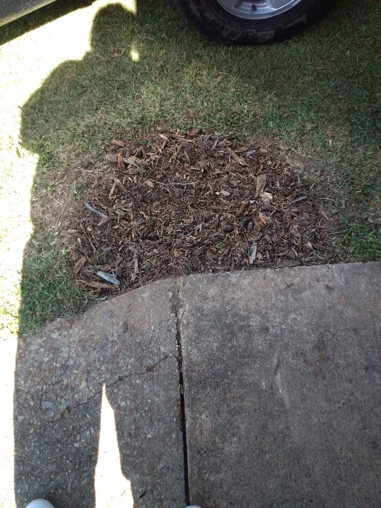 Slide of Smart Service