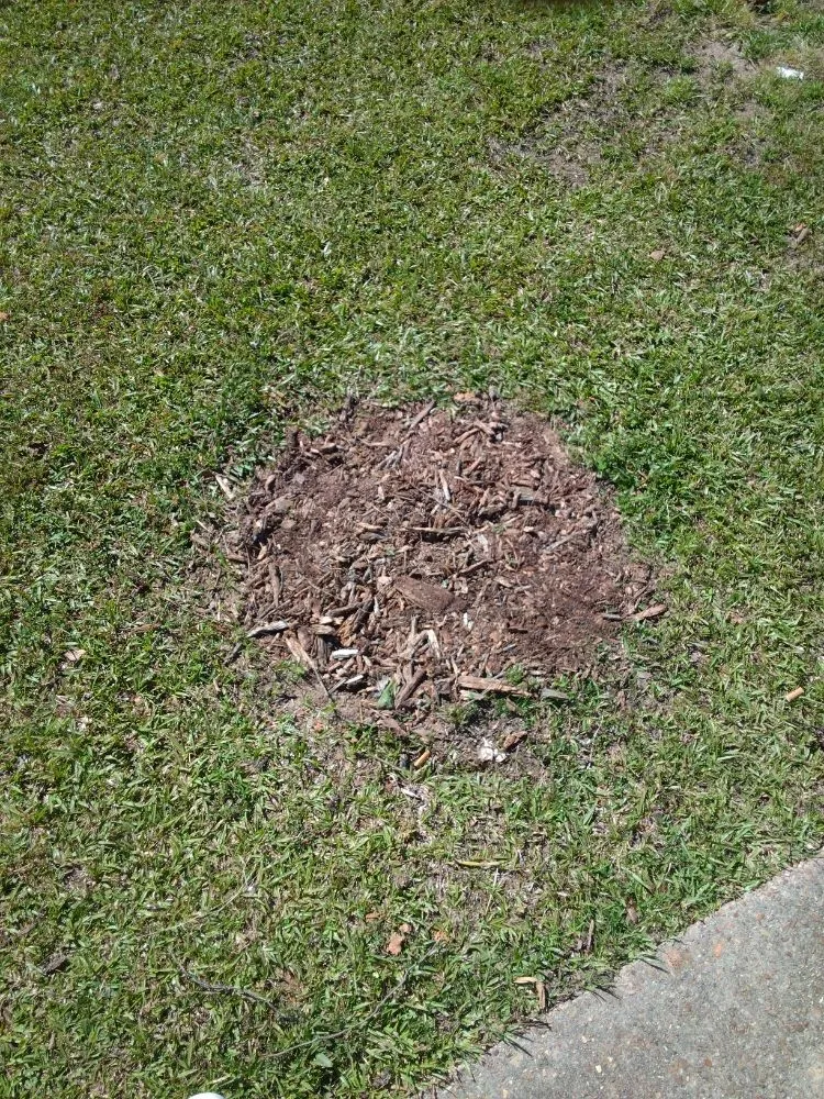 Slide of Smart Service