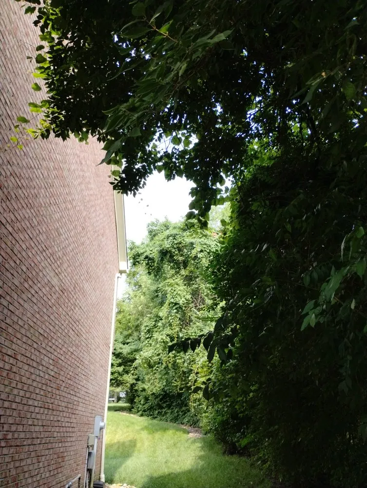 Slide of Smith and Sons Tree Maintenance