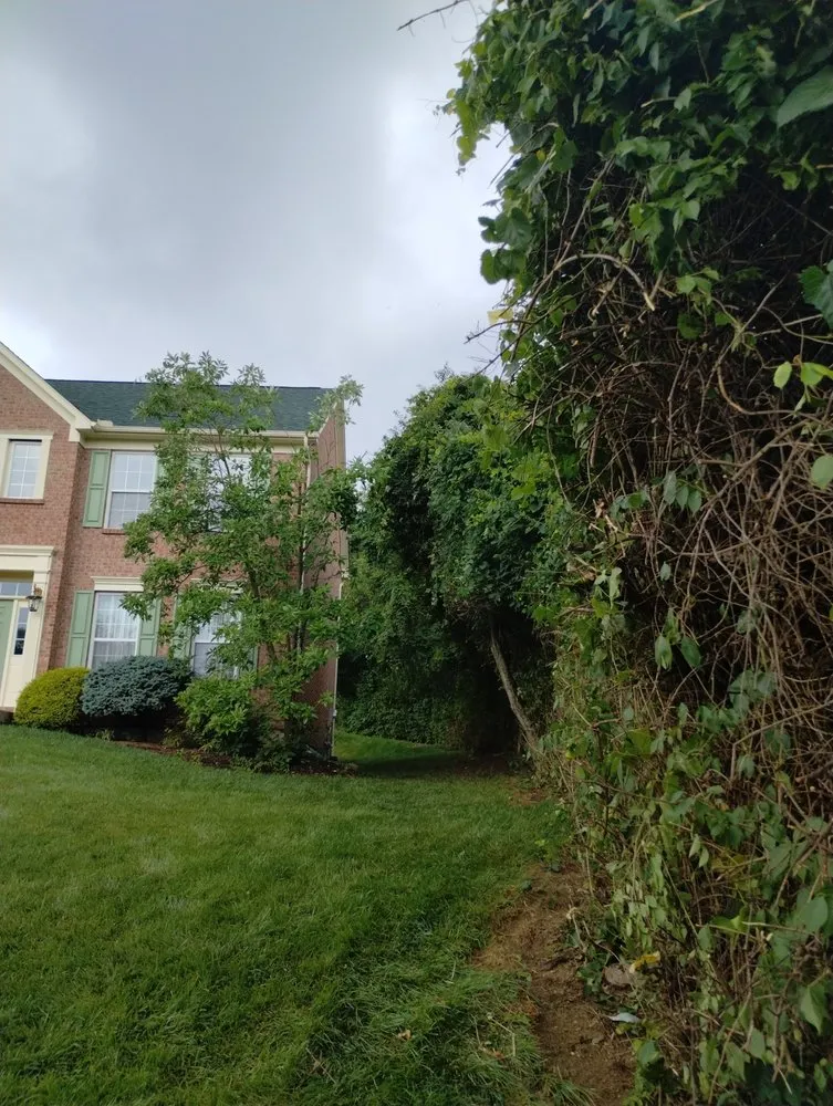 Slide of Smith and Sons Tree Maintenance