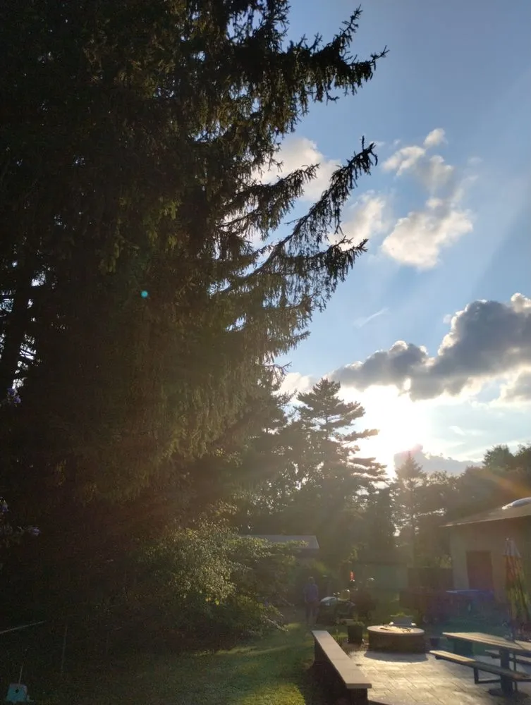 Slide of Smith and Sons Tree Maintenance