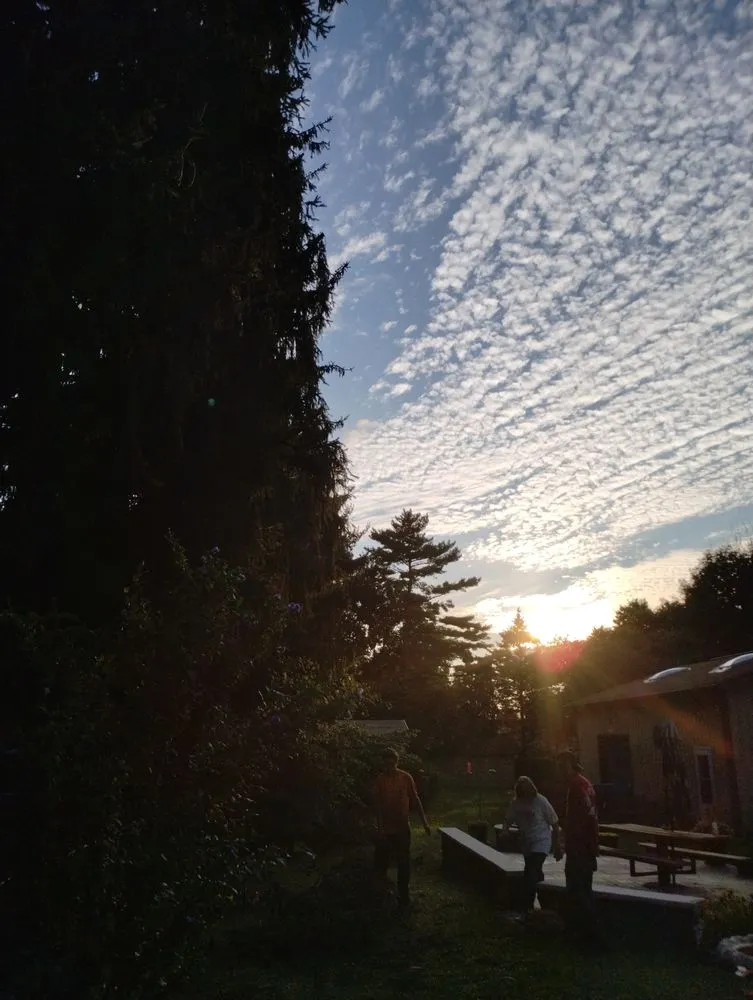 Slide of Smith and Sons Tree Maintenance