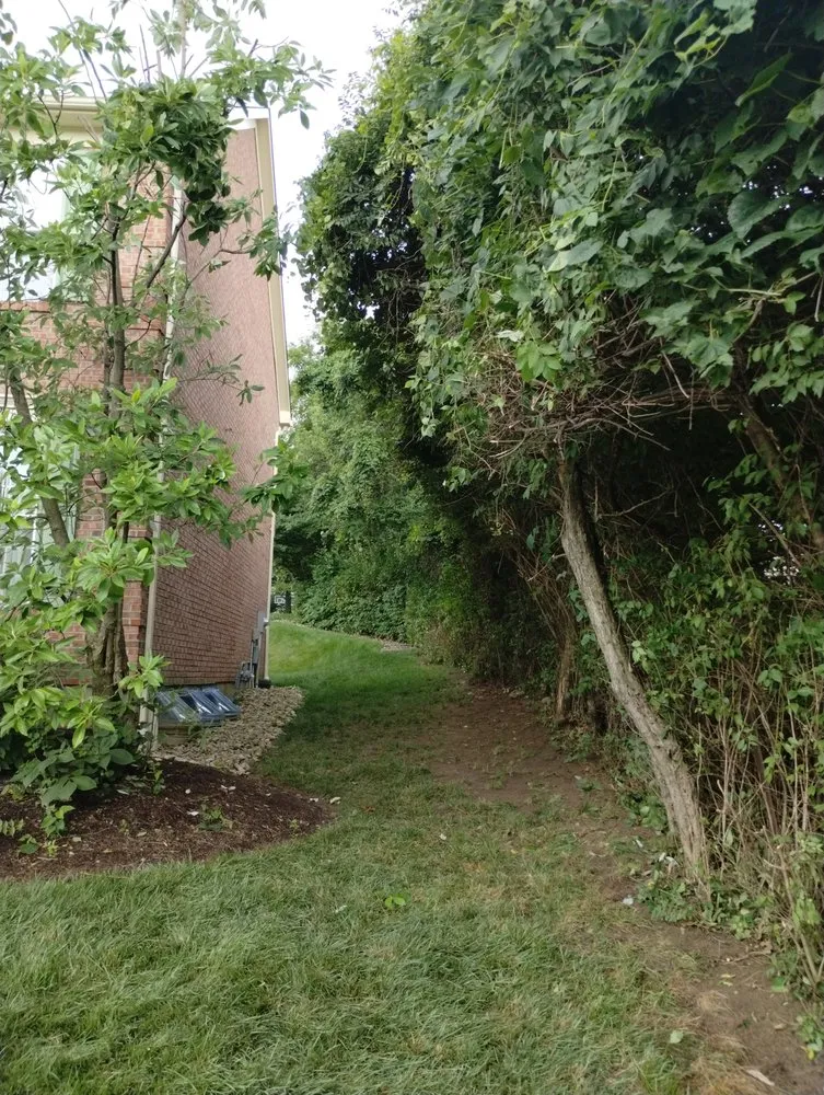 Slide of Smith and Sons Tree Maintenance