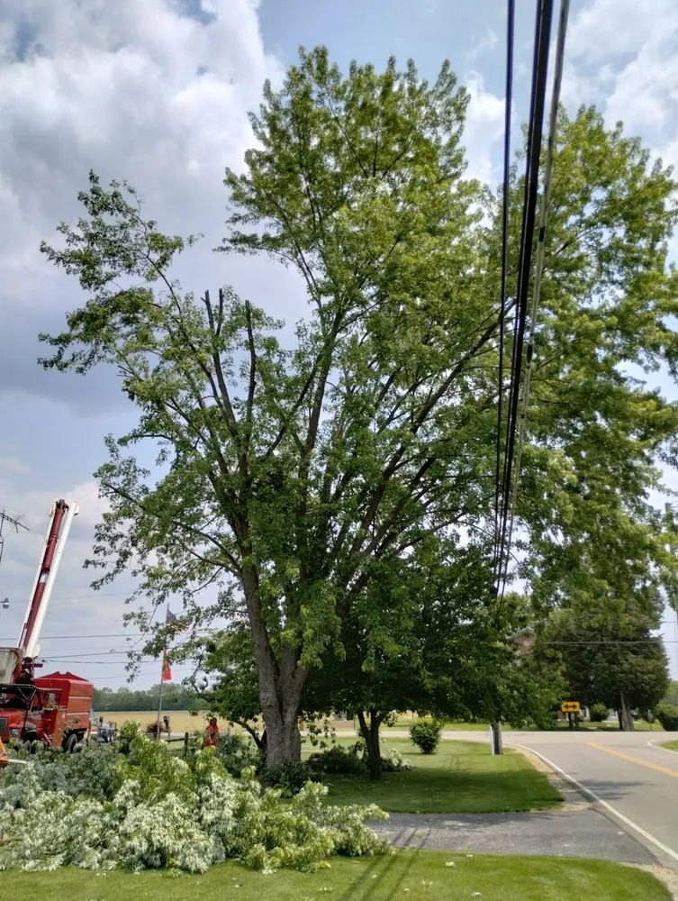 Slide of Smith and Sons Tree Maintenance