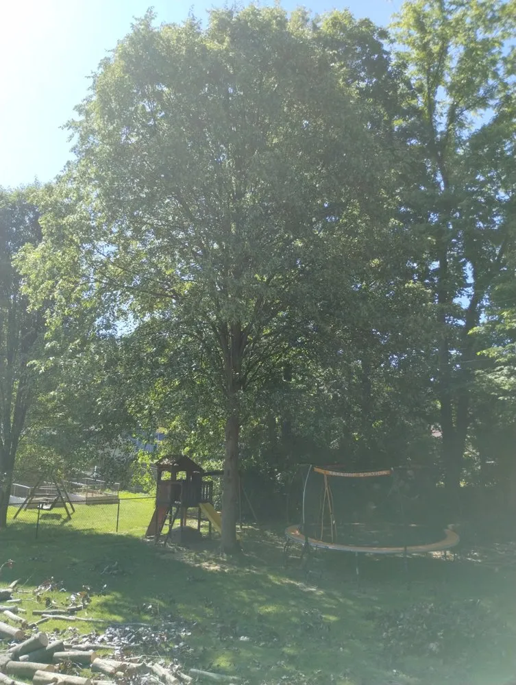 Slide of Smith and Sons Tree Maintenance