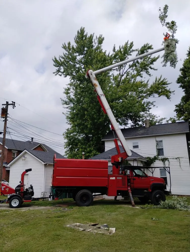 Slide of Smith and Sons Tree Maintenance