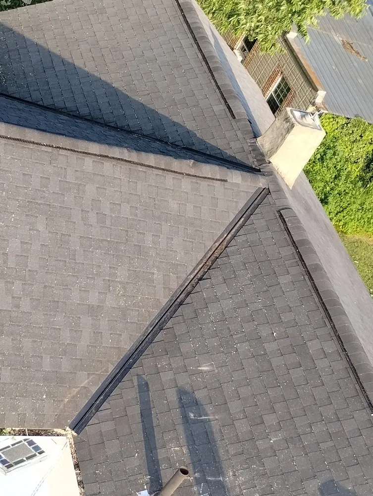 Slide of Smith and Sons Tree Maintenance