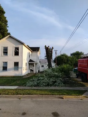 Smith and Sons Tree Maintenance