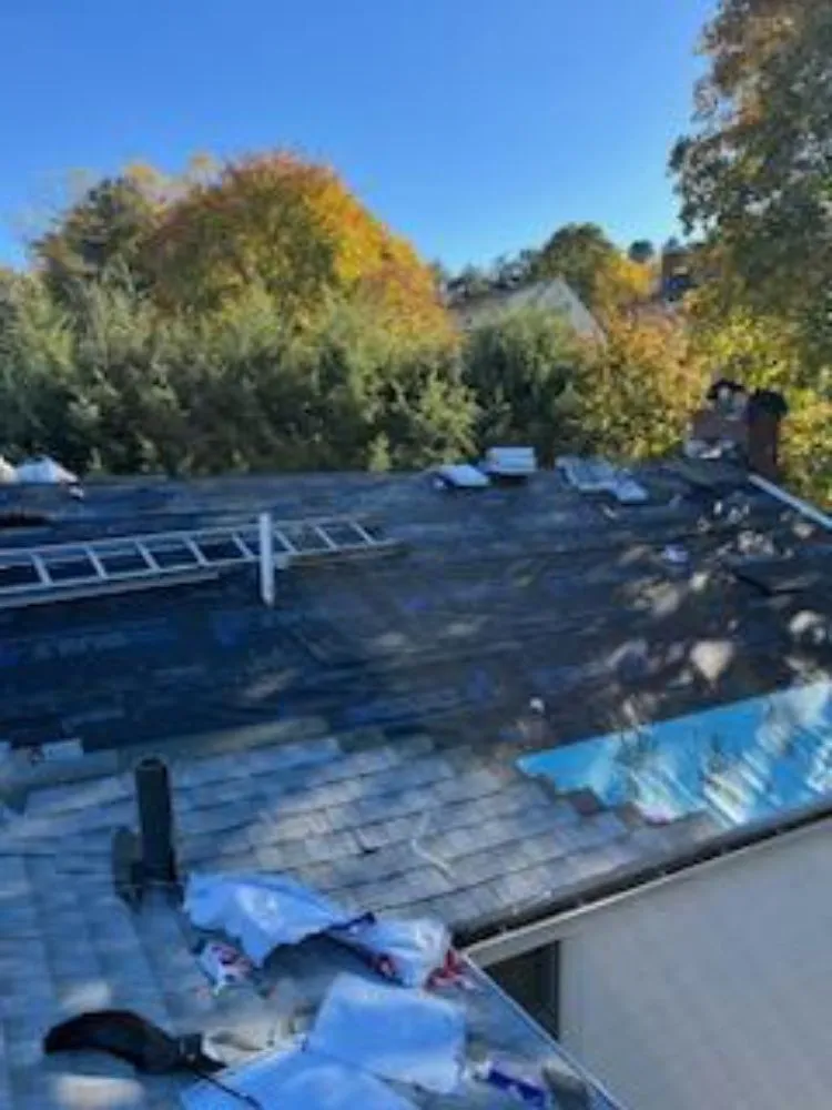 Slide of Smith Gutter