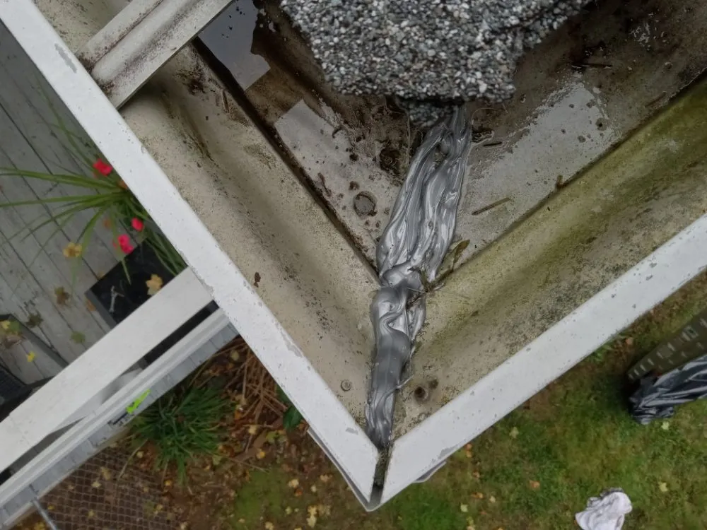 Slide of Smith Gutter