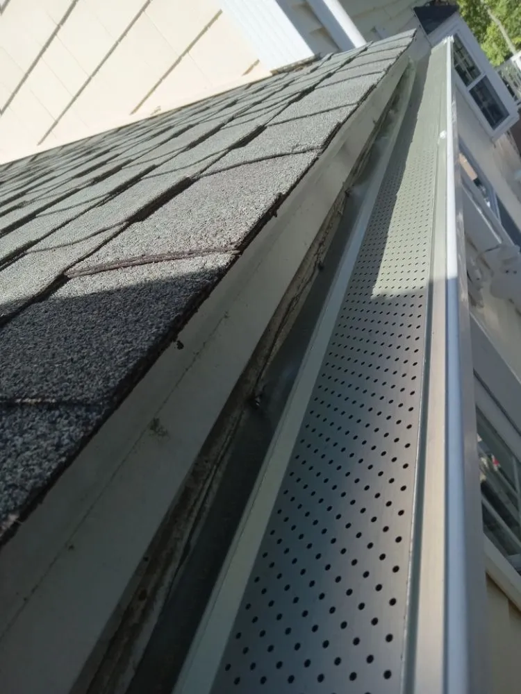 Slide of Smith Gutter